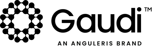 Gaudi AI — An Anguleris Brand