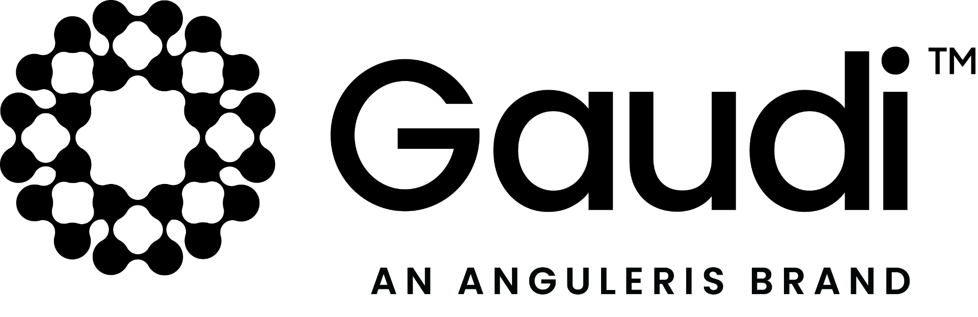 Gaudi AI — An Anguleris Brand
